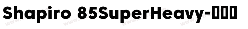 Shapiro 85SuperHeavy字体转换